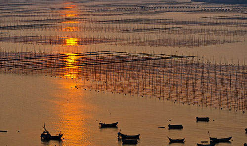 Fujian Xiapu Inspiring Photography Tour